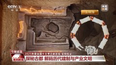 究人们之间的DNA关系